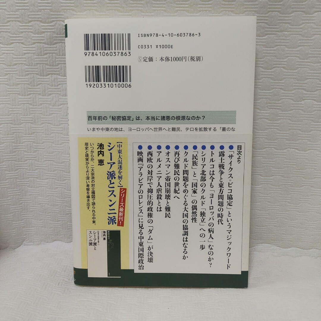 サイクス＝ピコ協定百年の呪縛 エンタメ/ホビーの本(その他)の商品写真