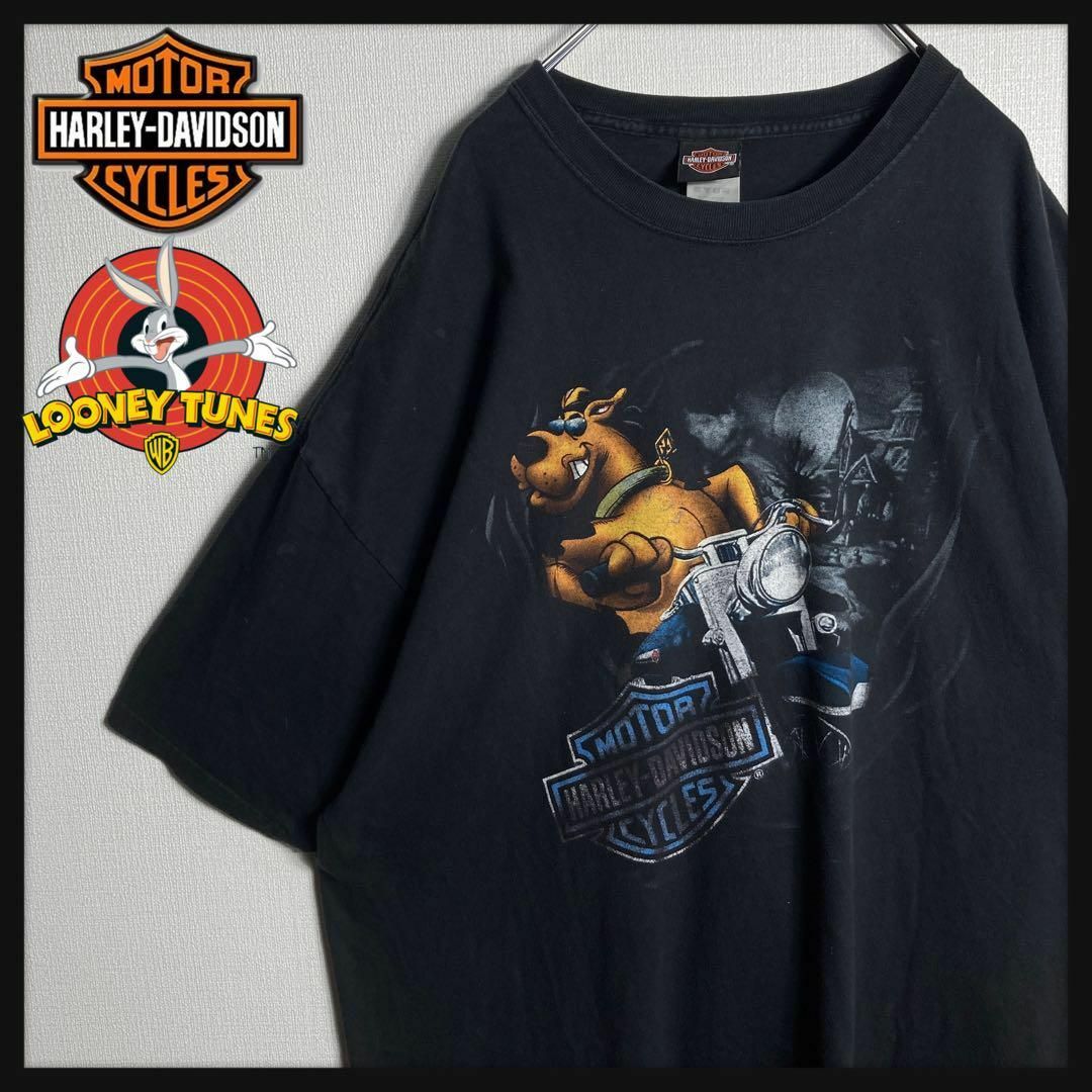 Harley Davidson(ハーレーダビッドソン)の【USA製 3XLサイズ】ハーレーダビッドソン×ルーニーテューンズ　tシャツ メンズのトップス(Tシャツ/カットソー(半袖/袖なし))の商品写真