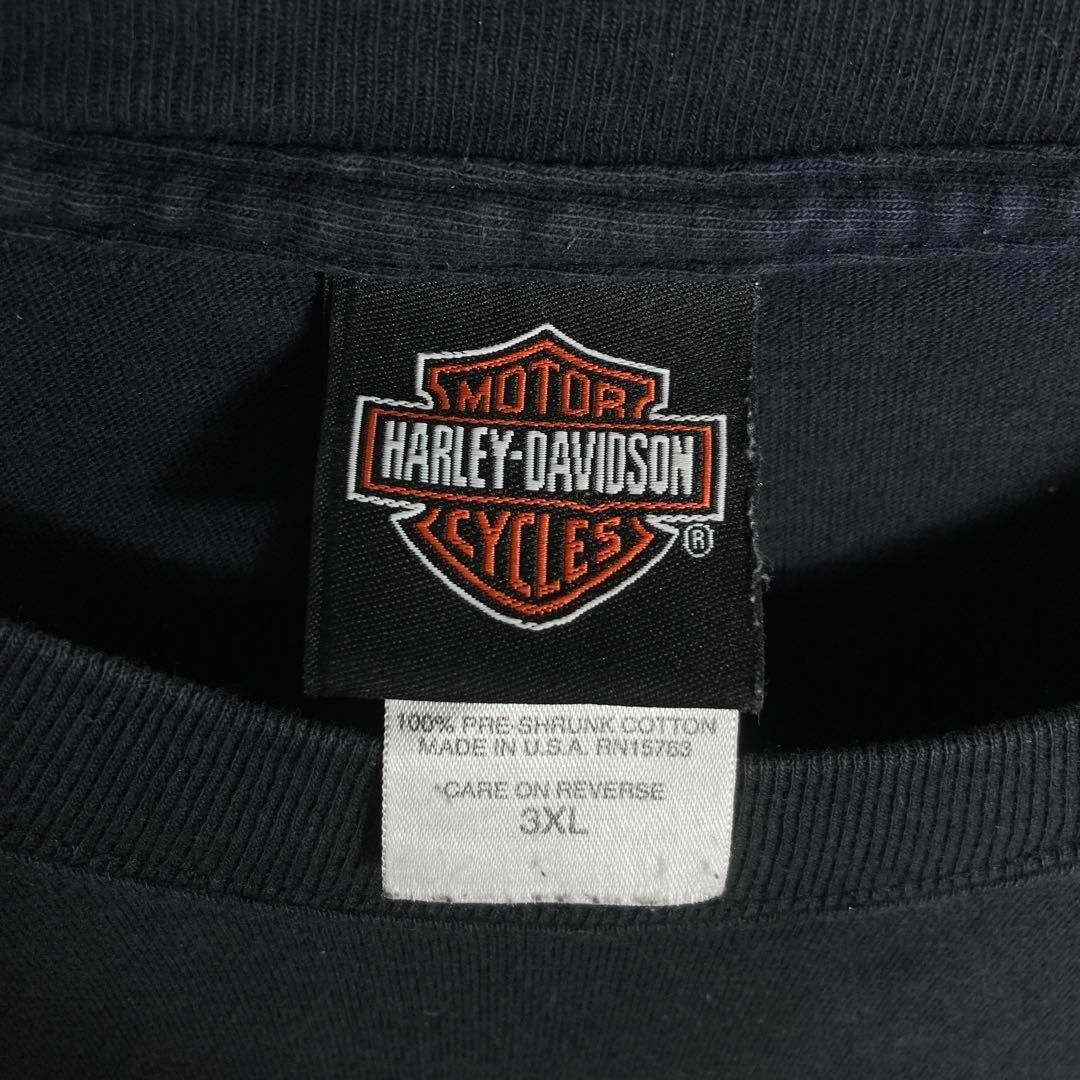 Harley Davidson(ハーレーダビッドソン)の【USA製 3XLサイズ】ハーレーダビッドソン×ルーニーテューンズ　tシャツ メンズのトップス(Tシャツ/カットソー(半袖/袖なし))の商品写真