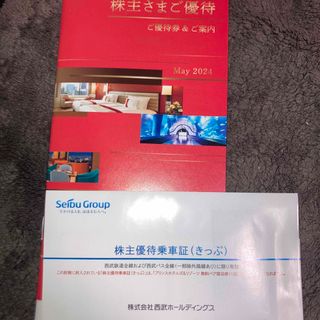 サイタマセイブライオンズ(埼玉西武ライオンズ)の西武ホールディングス　株主優待券(1000株)(その他)