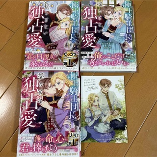 極上騎士団長の揺るぎない独占愛　1〜3 全巻セット(少女漫画)