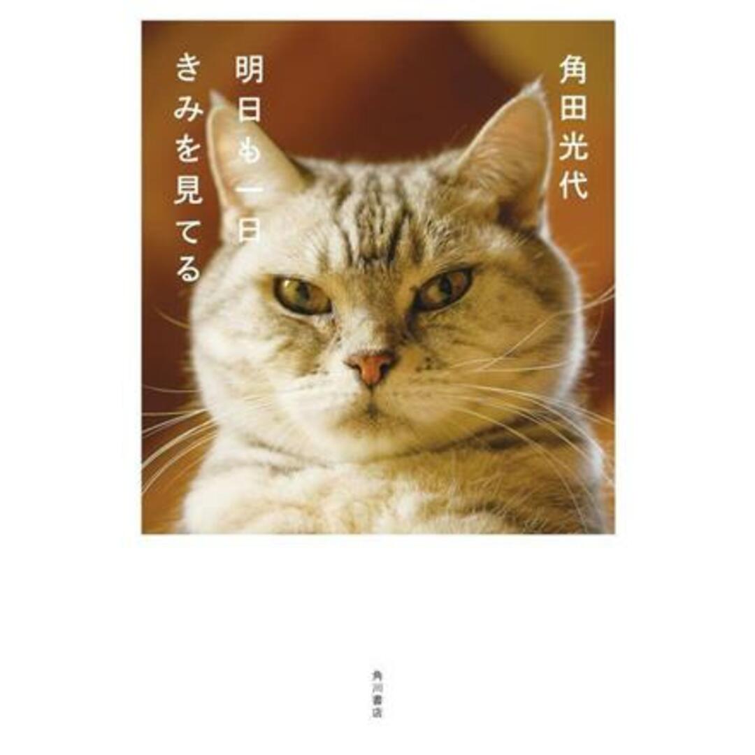 明日も一日きみを見てる／角田光代(著者) エンタメ/ホビーの本(ノンフィクション/教養)の商品写真