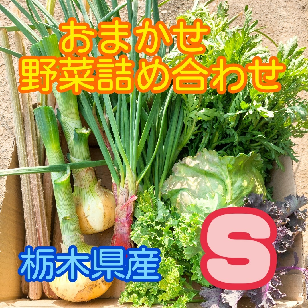【数量・期間限定】おまかせ野菜詰め合わせBOX【S】 食品/飲料/酒の食品(野菜)の商品写真