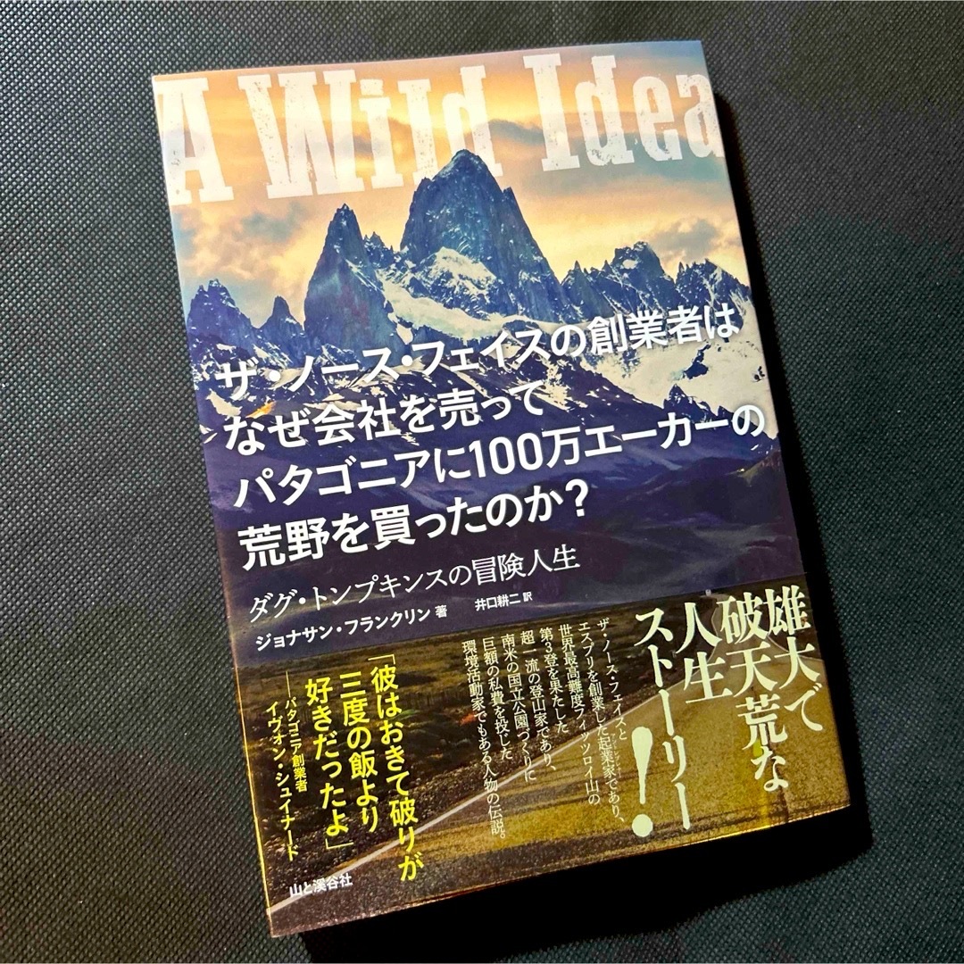 ザ・ノースフェイスの創業者はなぜ会社を売ってパタゴニアに１００万エーカーの荒野を エンタメ/ホビーの本(ビジネス/経済)の商品写真