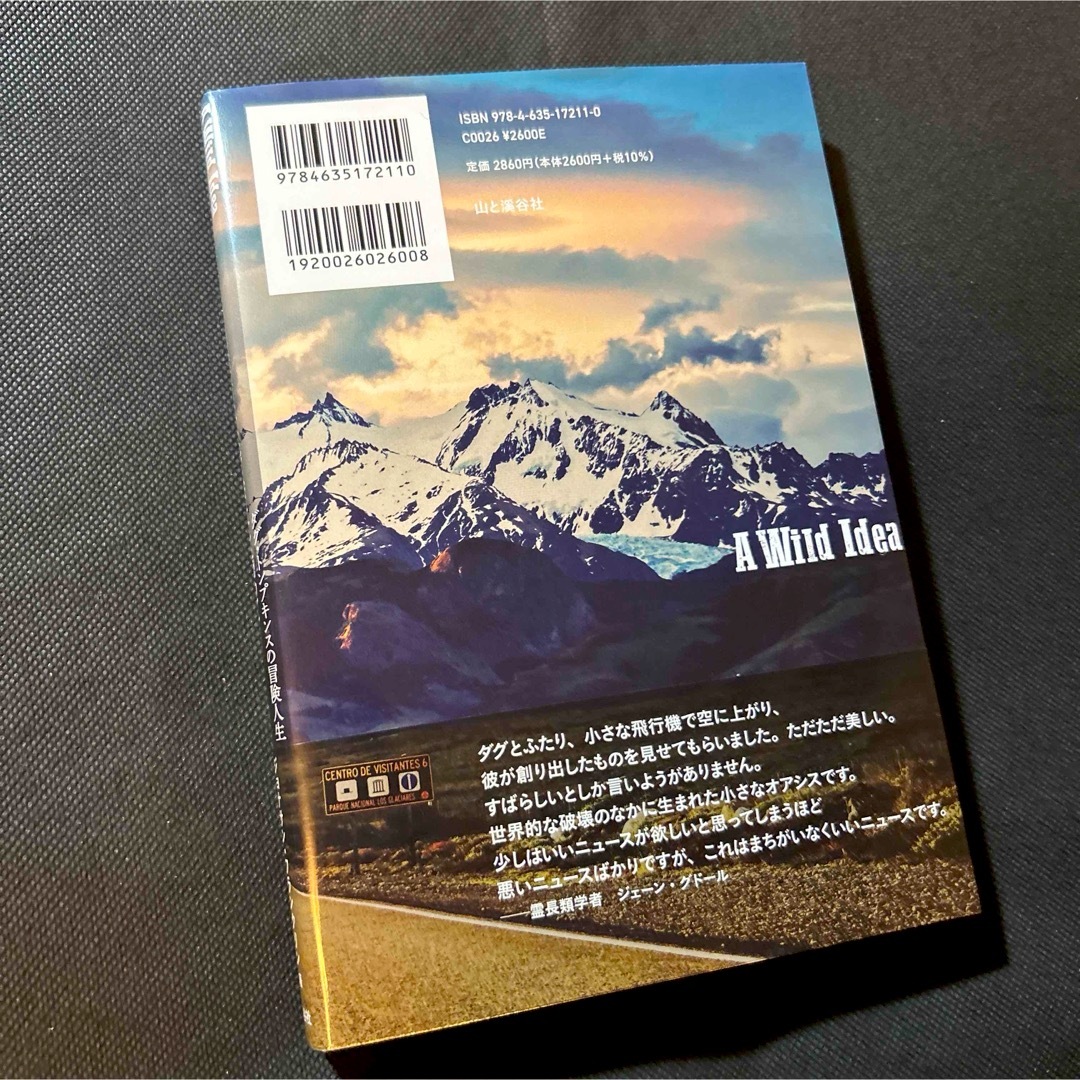 ザ・ノースフェイスの創業者はなぜ会社を売ってパタゴニアに１００万エーカーの荒野を エンタメ/ホビーの本(ビジネス/経済)の商品写真