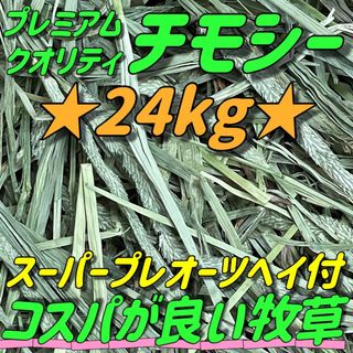 ★24kg ★プレミアムチモシー うさぎ 小動物 ペットフード 牧草おやつ(ペットフード)