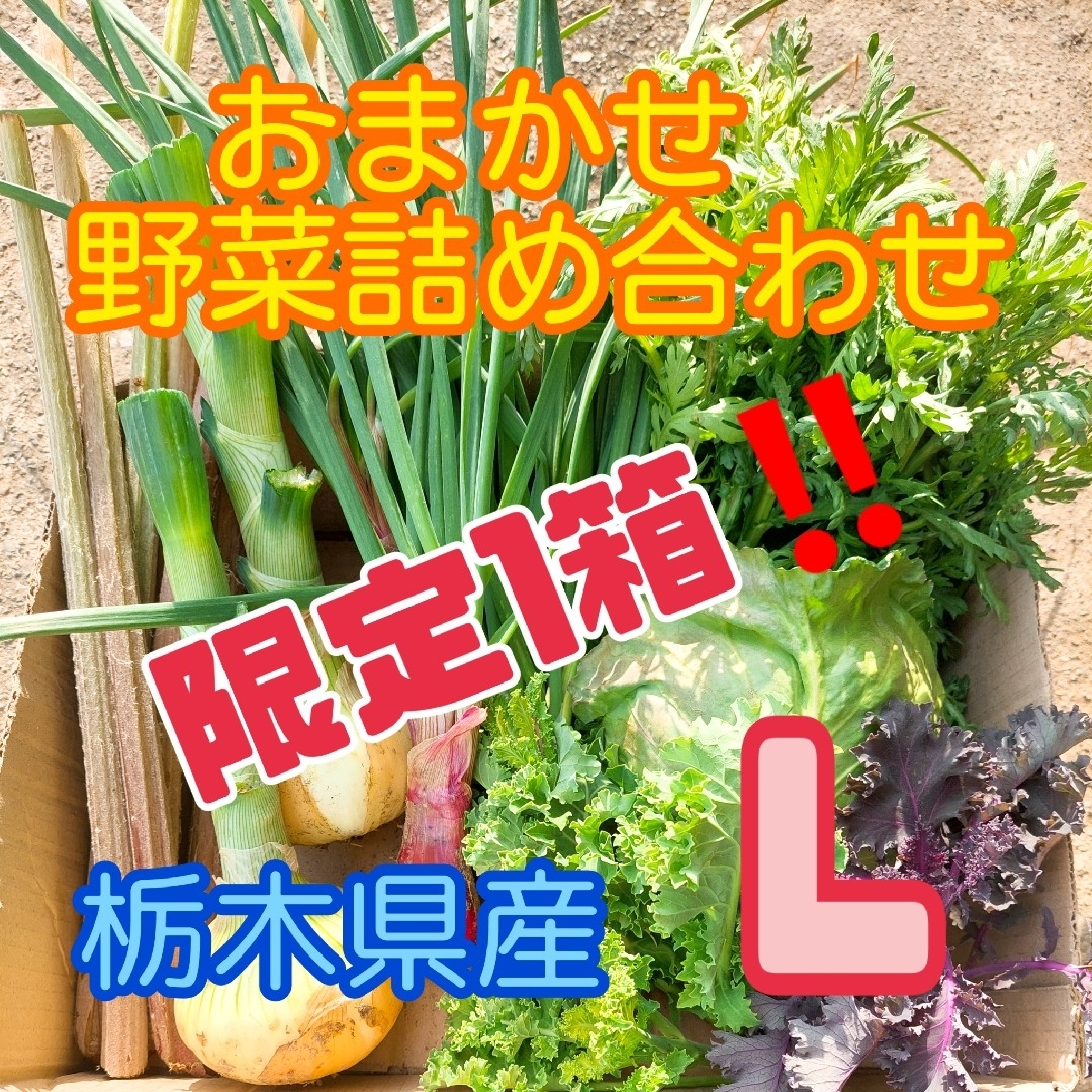 【数量・期間限定】おまかせ野菜詰め合わせBOX【L】 食品/飲料/酒の食品(野菜)の商品写真