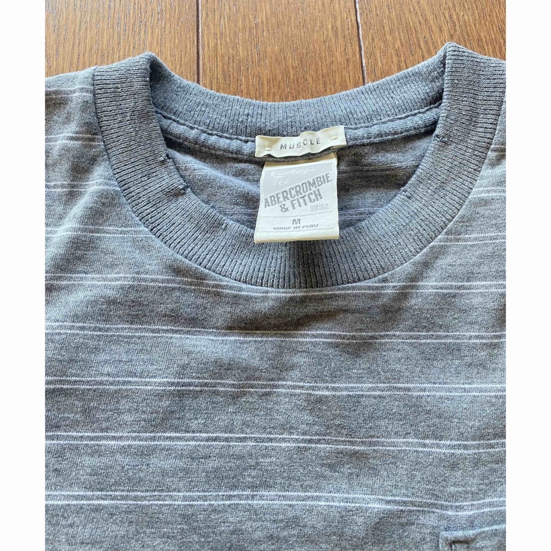 Hollister(ホリスター)のAbercrombie &FitchTシャツ メンズのトップス(Tシャツ/カットソー(半袖/袖なし))の商品写真