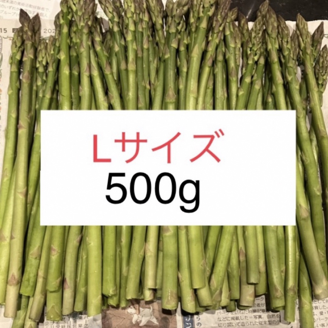 アスパラ　Lサイズ　500g 食品/飲料/酒の食品(野菜)の商品写真