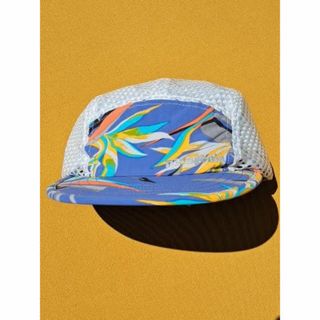 パタゴニア(patagonia)のパタゴニア Duckbill Cap ダックビル PVTB 2016(キャップ)