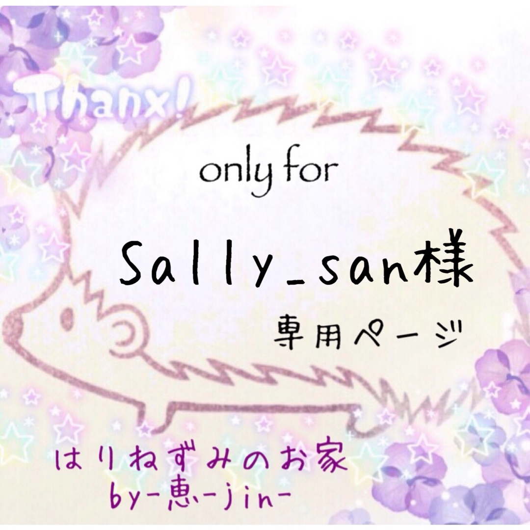 Sally_san様専用ページ ハンドメイドの素材/材料(各種パーツ)の商品写真