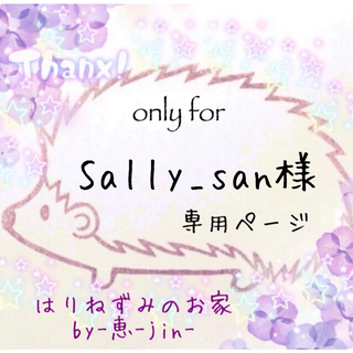 Sally_san様専用ページ(各種パーツ)