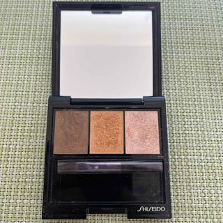 SHISEIDO (資生堂) - SHISEIDO Luminizing Eye Colnr BR209