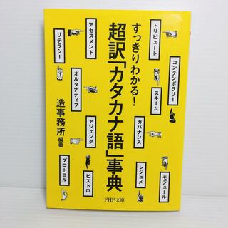 P0404-108　すっきりわかる! 超訳「カタカナ語」事典(文学/小説)