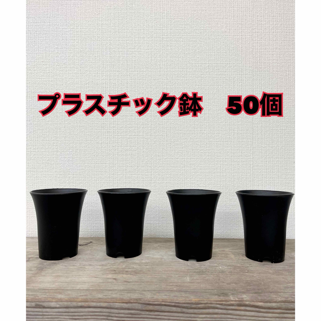 新品　プラスチック植木鉢　50個セット　多肉植木鉢　Agave ハンドメイドのフラワー/ガーデン(その他)の商品写真