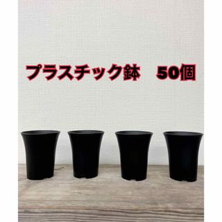 新品　プラスチック植木鉢　50個セット　多肉植木鉢　Agave(その他)