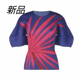 プリーツプリーズイッセイミヤケ(PLEATS PLEASE ISSEY MIYAKE)のICE DESERTトップス新品🌺プリーツプリーズ(カットソー(半袖/袖なし))