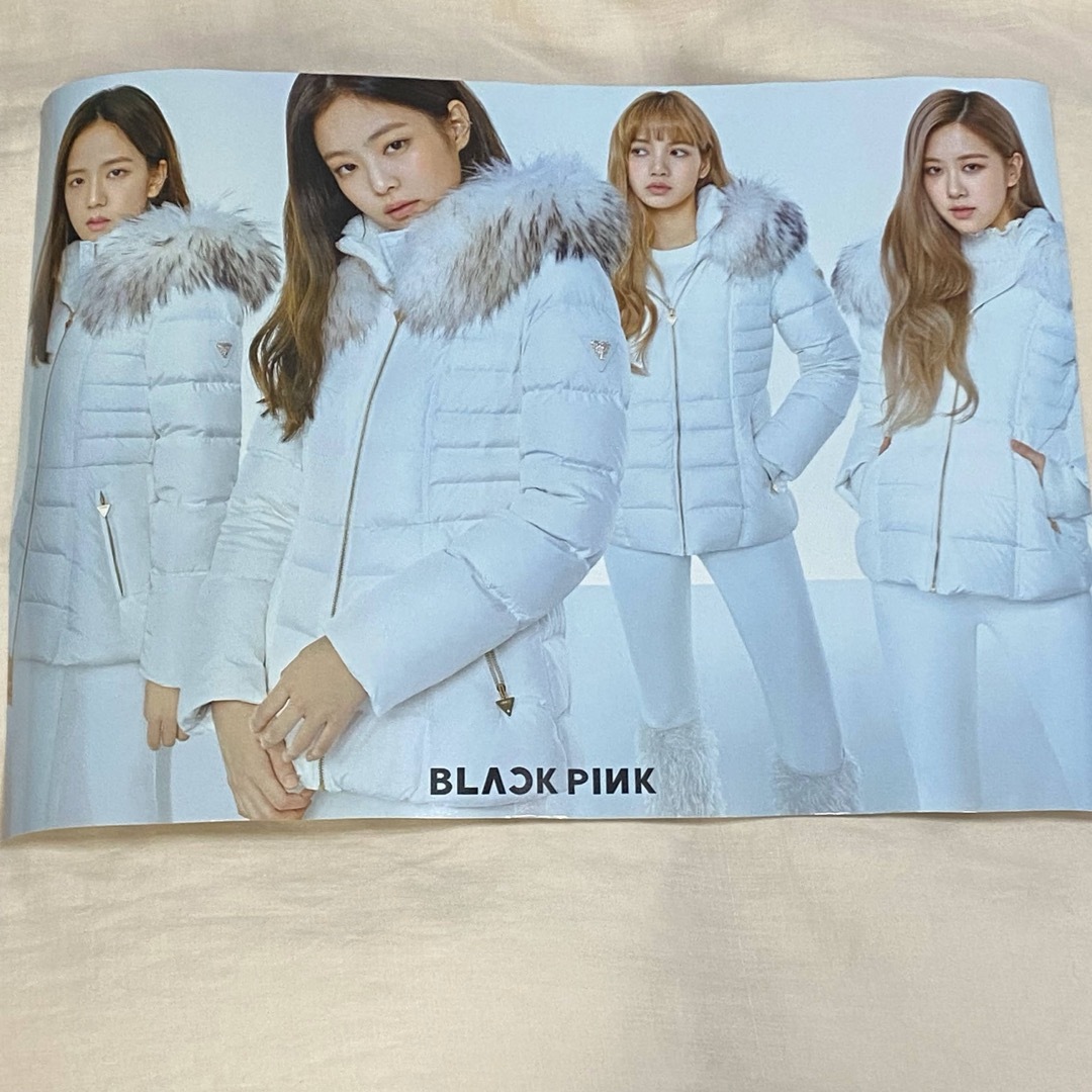 BLACKPINK(ブラックピンク)のBLACKPINK まとめ売り エンタメ/ホビーのタレントグッズ(アイドルグッズ)の商品写真