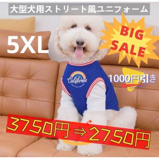 【ペット用】大型犬用 ペット服 ストリート重ね風 ユニフォーム ブルー 5XL(犬)