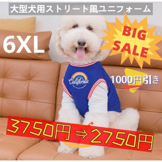 【ペット用】大型犬用 ペット服 ストリート重ね風 ユニフォーム ブルー 6XL(犬)