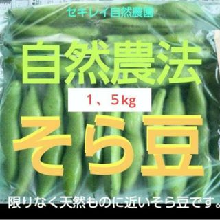 自然農法　生野菜　そら豆　箱込み１、５キロ(野菜)