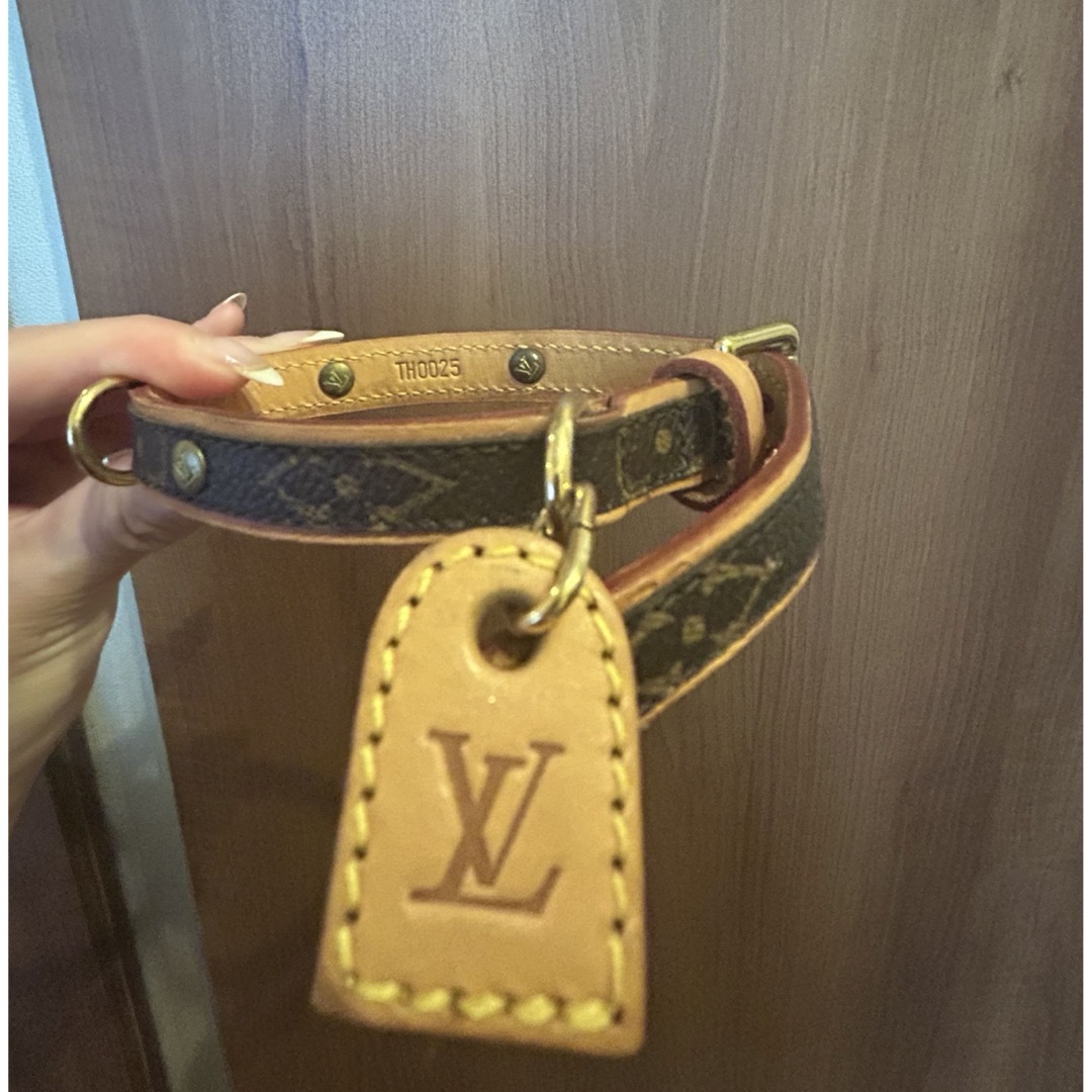 LOUIS VUITTON(ルイヴィトン)のルイヴィトン　首輪 ハンドメイドのペット(リード/首輪)の商品写真