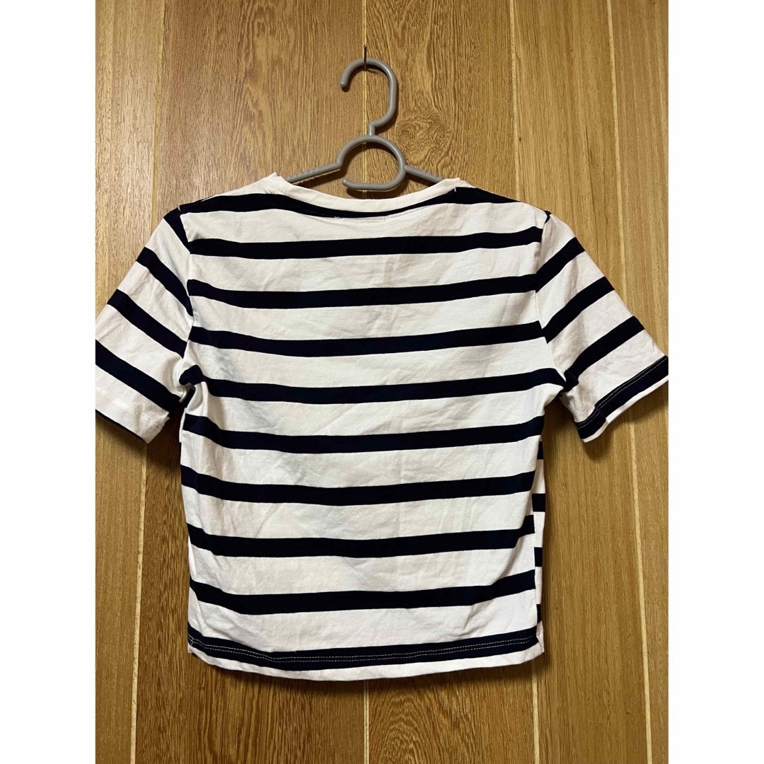 ZARA(ザラ)のZARA クロップドストレッチTシャツ レディースのトップス(Tシャツ(半袖/袖なし))の商品写真