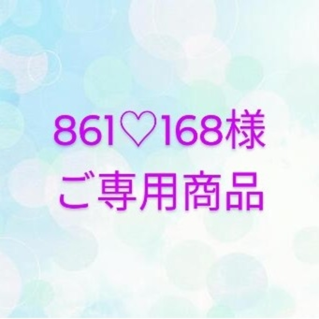 861♡168様ご専用商品 その他のその他(その他)の商品写真