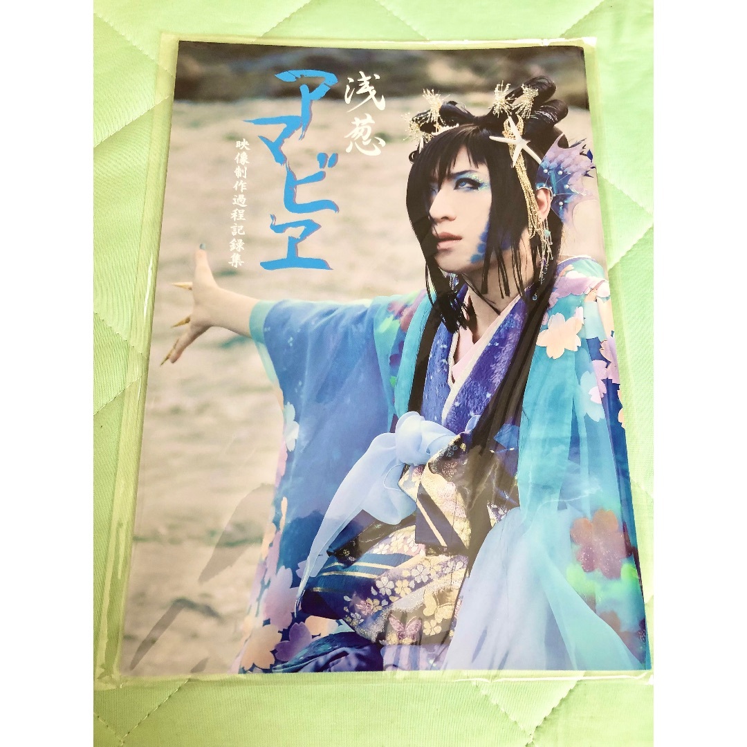 浅葱ソロ　写真集 パンフレット メイキングブック　D ASAGI チェキ エンタメ/ホビーのタレントグッズ(ミュージシャン)の商品写真