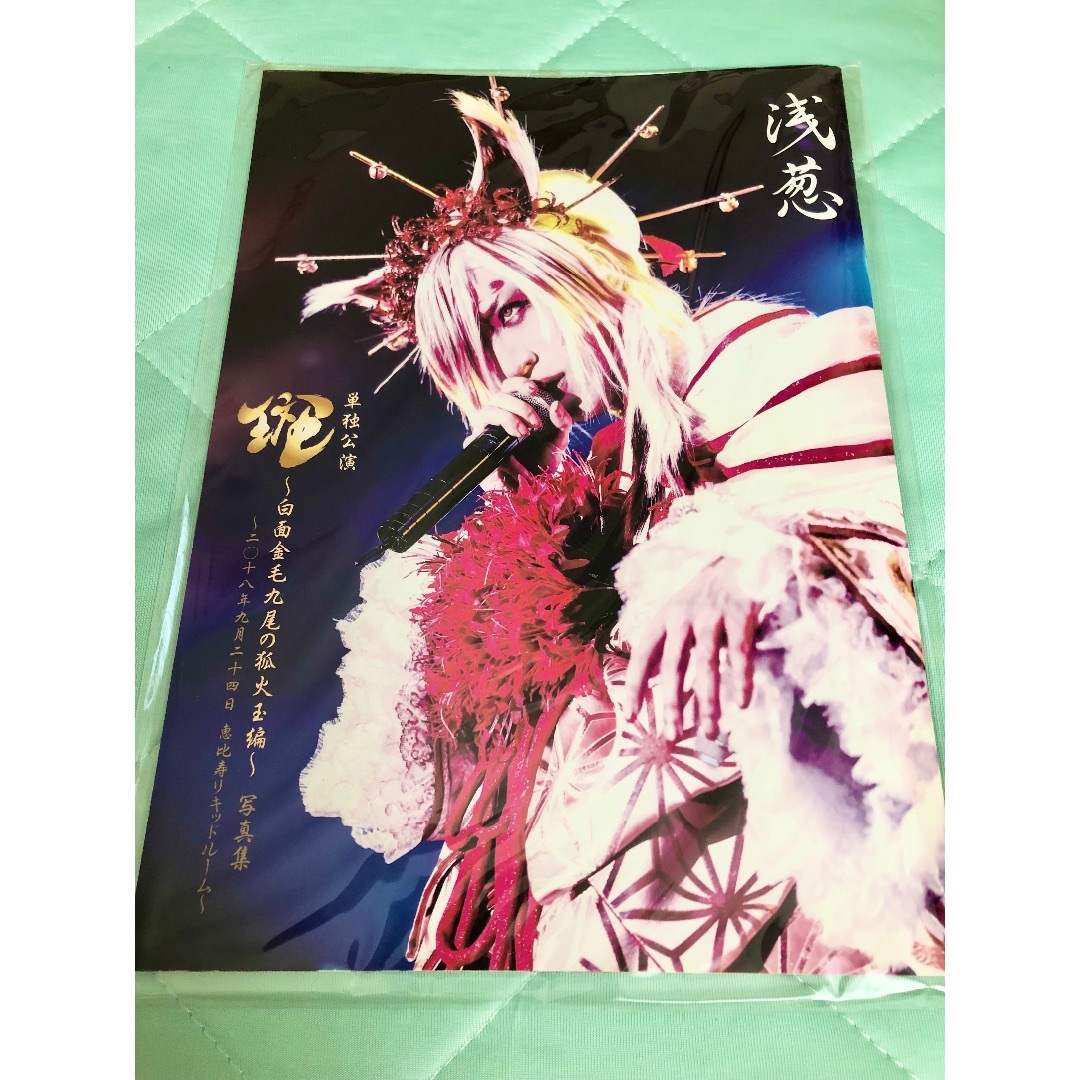 浅葱ソロ　写真集 パンフレット メイキングブック　D ASAGI チェキ