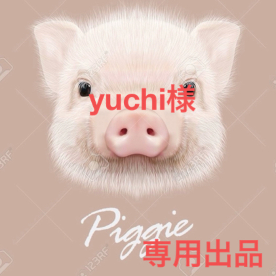 yuchi様 専用出品 コスメ/美容のネイル(デコパーツ)の商品写真