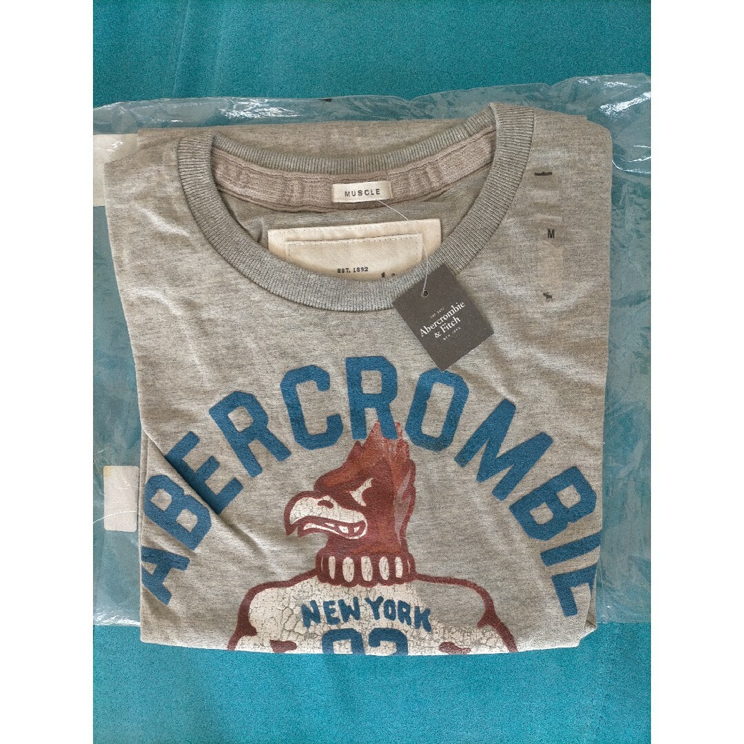 Abercrombie&Fitch(アバクロンビーアンドフィッチ)のアバクロンビー&フィッチ メンズ Tシャツ グレー USサイズ M メンズのトップス(Tシャツ/カットソー(半袖/袖なし))の商品写真