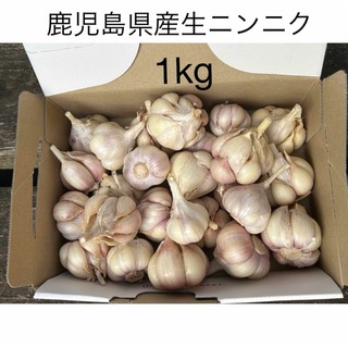 鹿児島県産ニンニク1kg(野菜)