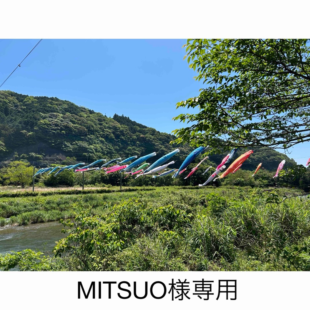 MITSUO様専用 レディースのレディース その他(その他)の商品写真