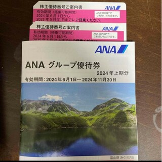 ANA株主優待券2枚(その他)
