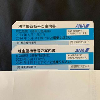 エーエヌエー(ゼンニッポンクウユ)(ANA(全日本空輸))のana株主優待(その他)