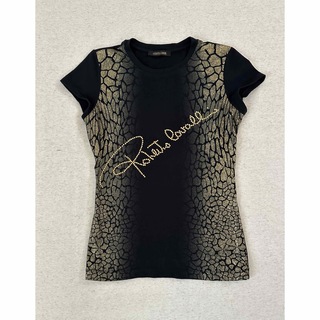 ロベルトカヴァリ(Roberto Cavalli)のroberto cavalli Tシャツ　40size(Tシャツ(半袖/袖なし))