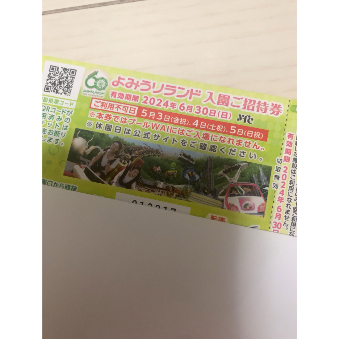よみうりランド　入場　乗り物1回　6月末まで チケットの施設利用券(遊園地/テーマパーク)の商品写真