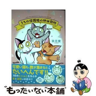 【中古】 うちの保護猫の仲は微妙/秋水社/浪花愛(女性漫画)