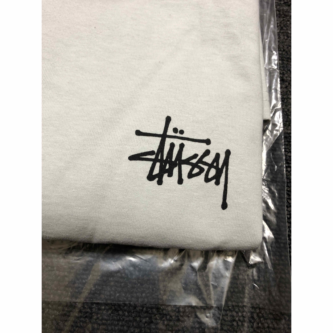 STUSSY(ステューシー)の【新品】Stussy Sunset Tee ステューシーサンセットTシャツ メンズのトップス(Tシャツ/カットソー(半袖/袖なし))の商品写真