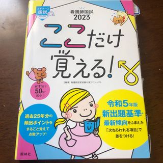 看護師国試ここだけ覚える！(資格/検定)