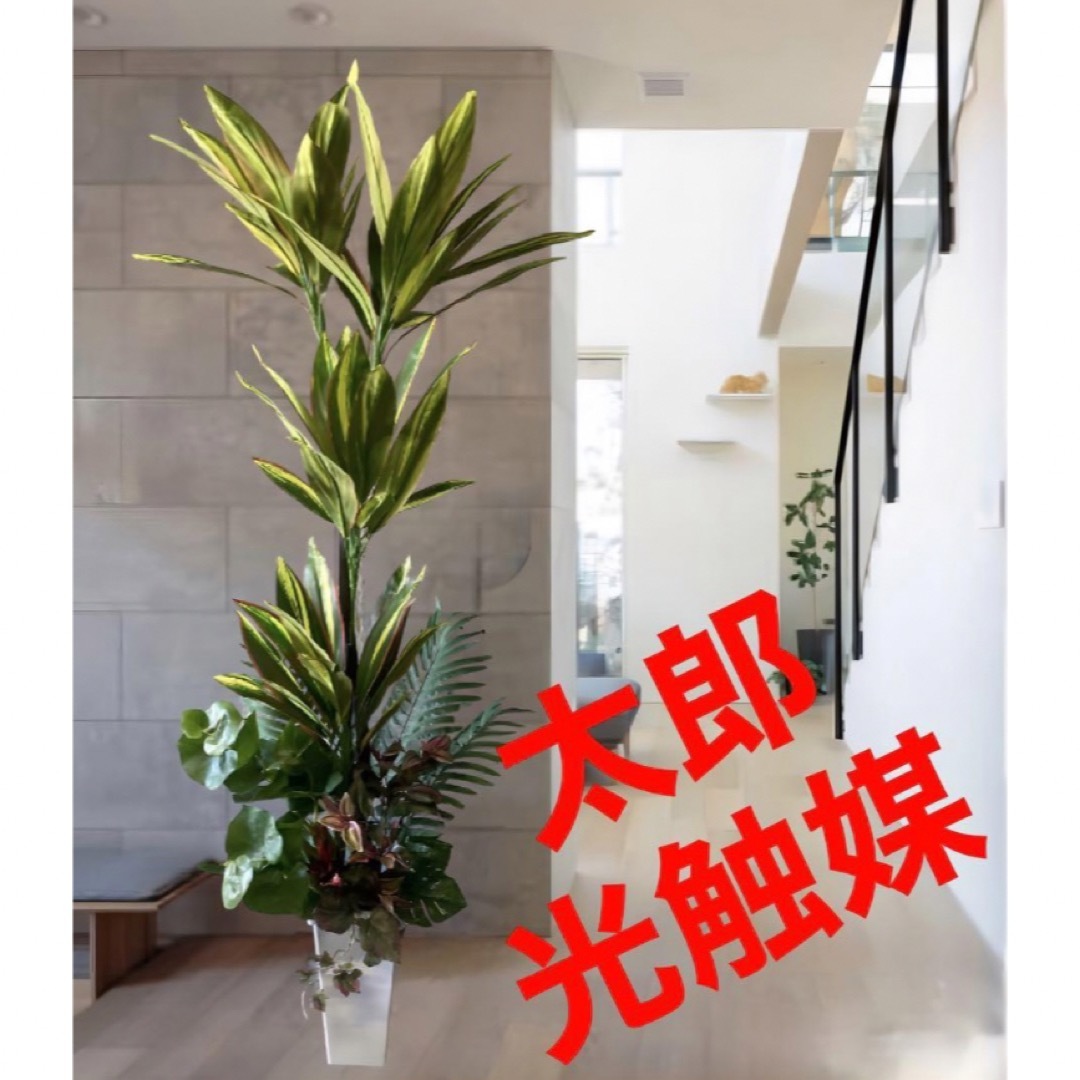 光触媒 人工観葉植物 ウォールグリーン フェイクグリーン 光触媒 人工観葉植物 ウォールグリーン フェイクグリーン