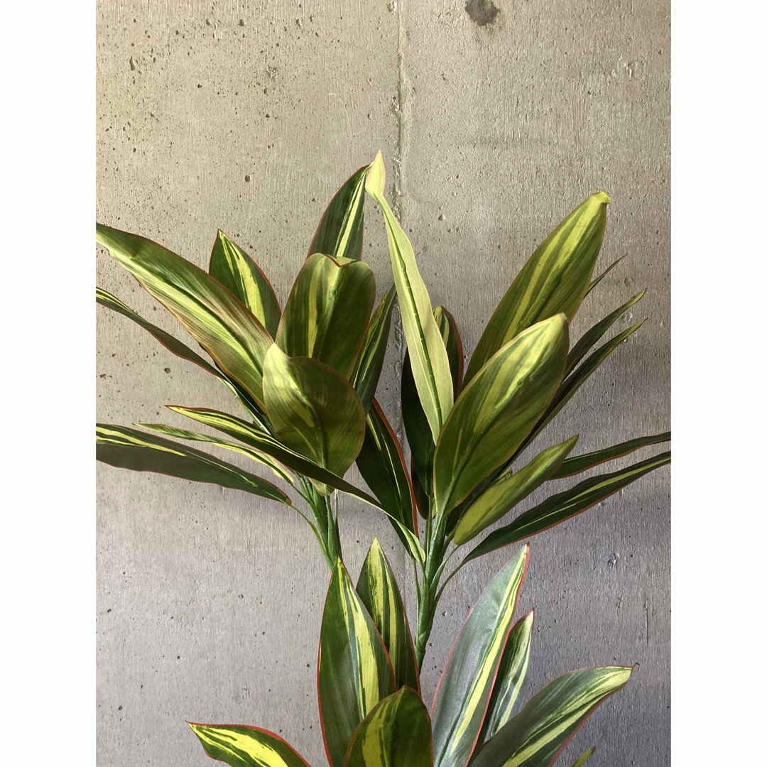 光触媒 人工観葉植物 ウォールグリーン フェイクグリーン 光触媒 人工観葉植物 ウォールグリーン フェイクグリーン
