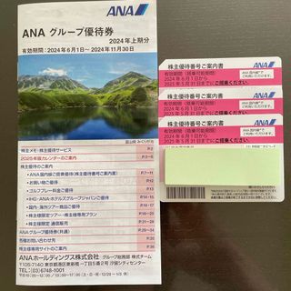 エーエヌエー(ゼンニッポンクウユ)(ANA(全日本空輸))のANA 株主優待券&グループ優待券(その他)