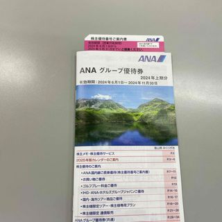 エーエヌエー(ゼンニッポンクウユ)(ANA(全日本空輸))のANA株主優待券(その他)