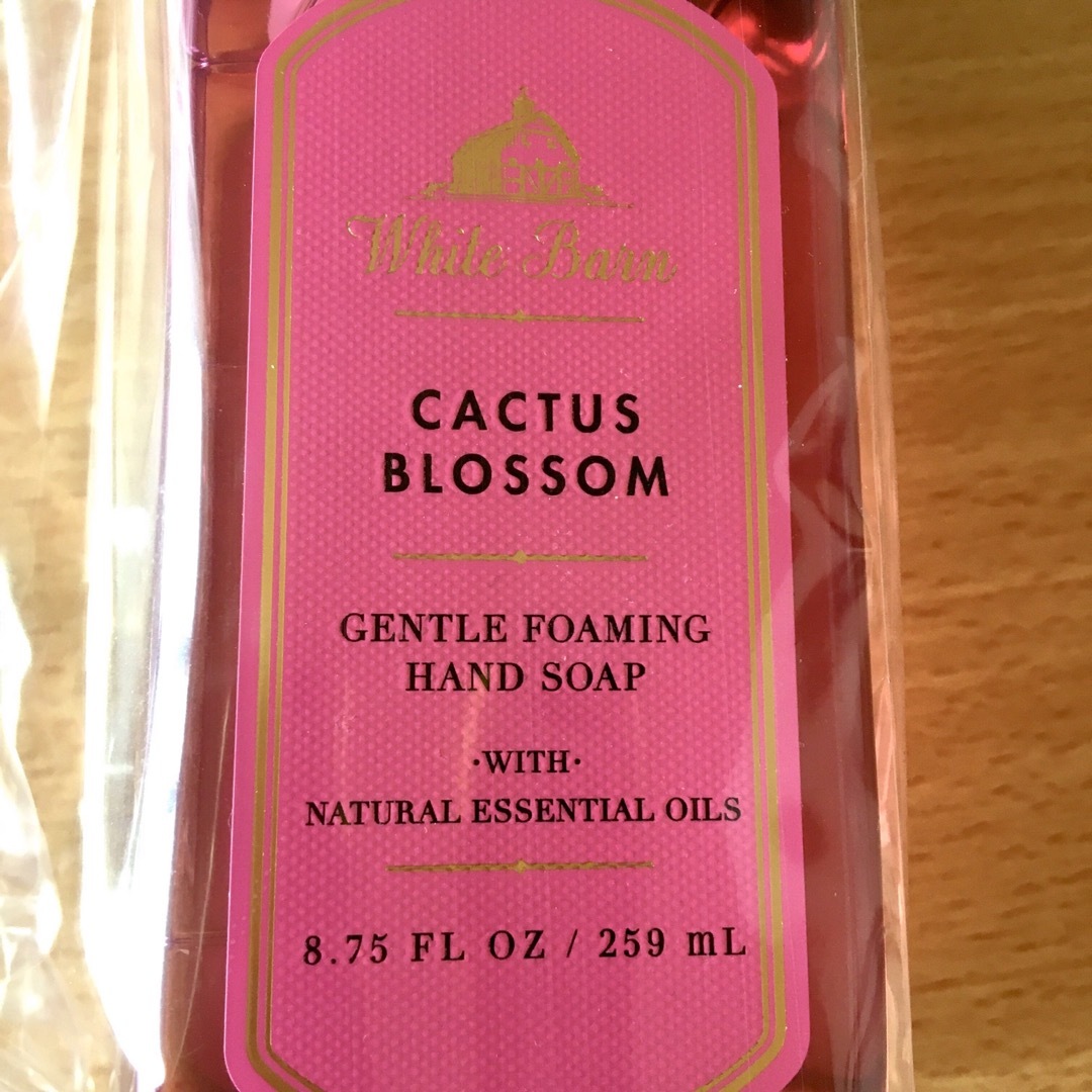 Bath and Body Works ハンドソープ CACTUS  コスメ/美容のボディケア(ボディソープ/石鹸)の商品写真