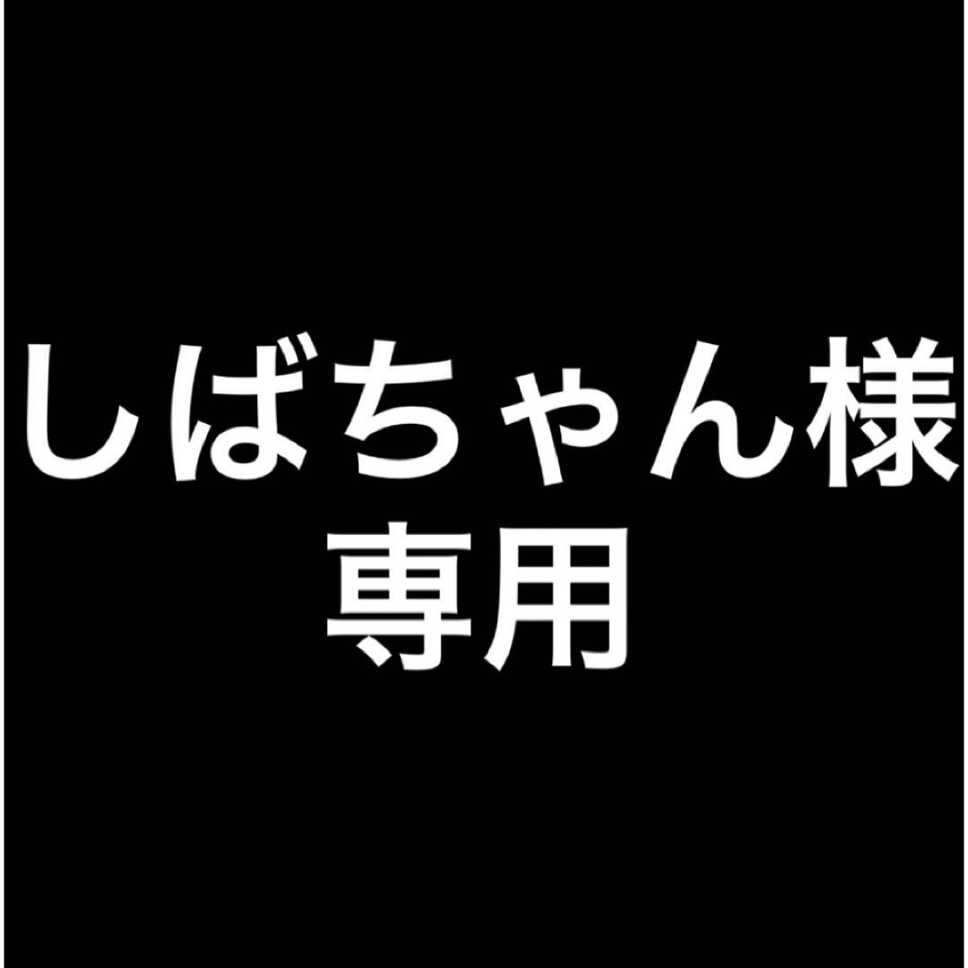 しばちゃん様　専用 その他のその他(その他)の商品写真