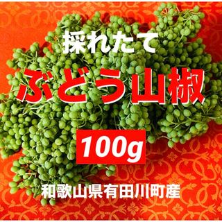 数量限定　採れたて　ぶどう山椒　山椒の実　香辛料　野菜　旬　果実　100g