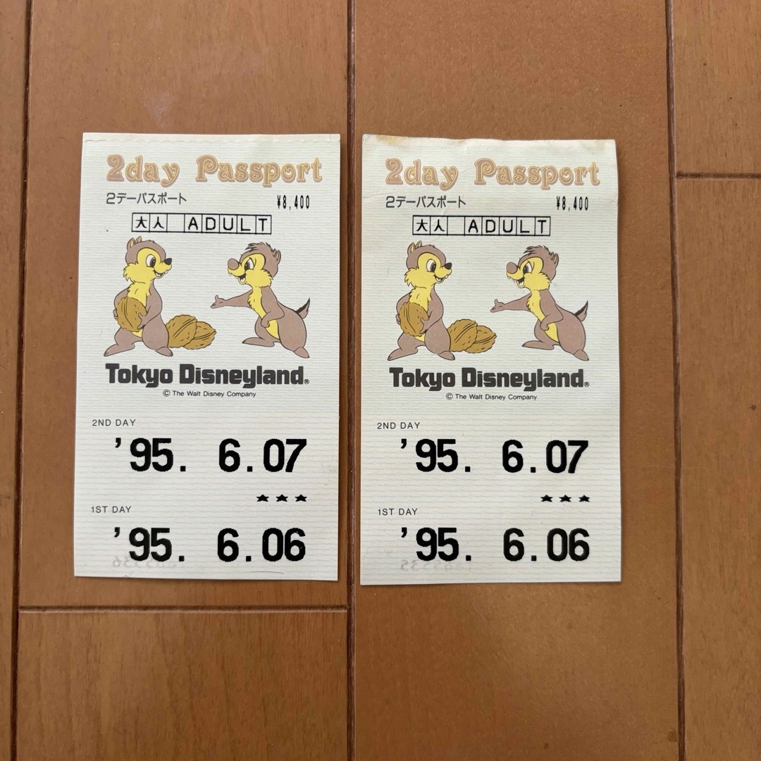東京ディズニーランド 使用済 チケット 2枚 1995年 2デーパスポート チケットの優待券/割引券(その他)の商品写真