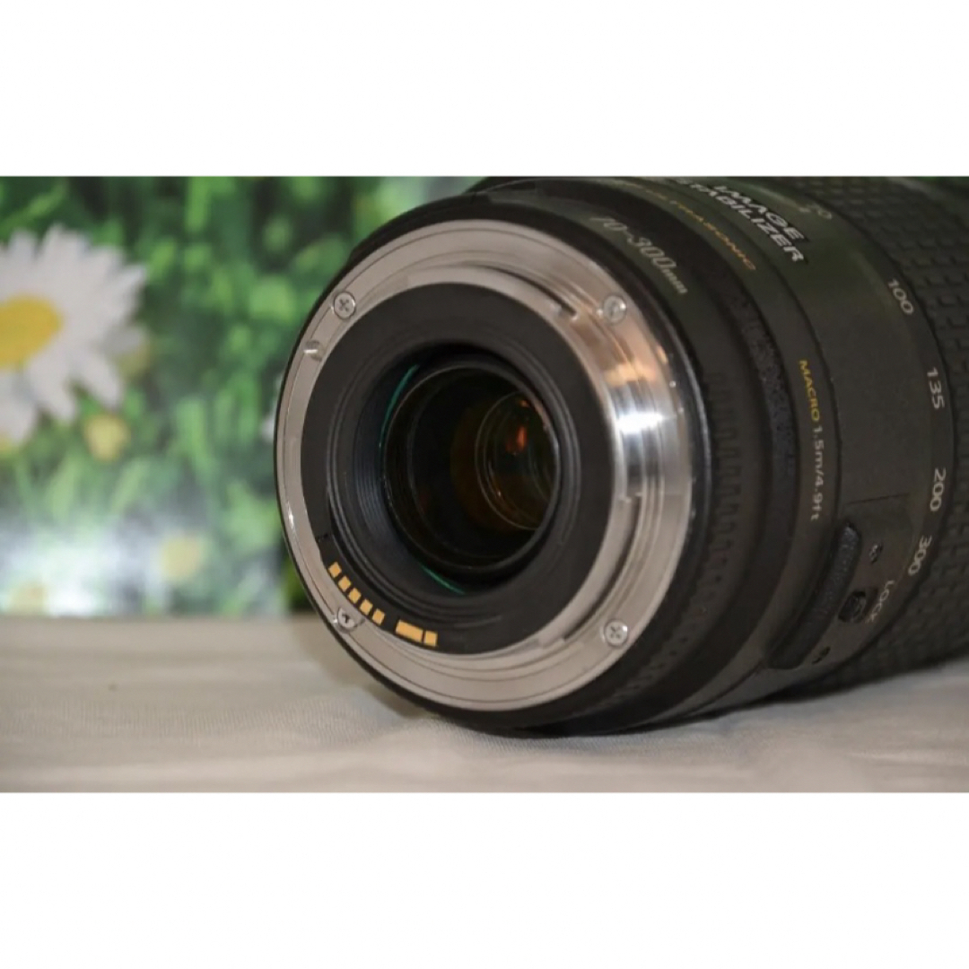Canon(キヤノン)のCanon EF 70-300mm F4-5.6 IS USM♥️超望遠レンズ スマホ/家電/カメラのカメラ(レンズ(ズーム))の商品写真